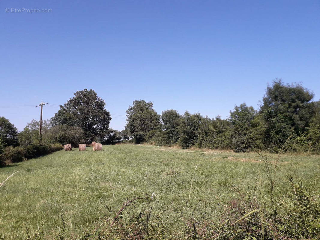 Terrain à VOUVANT