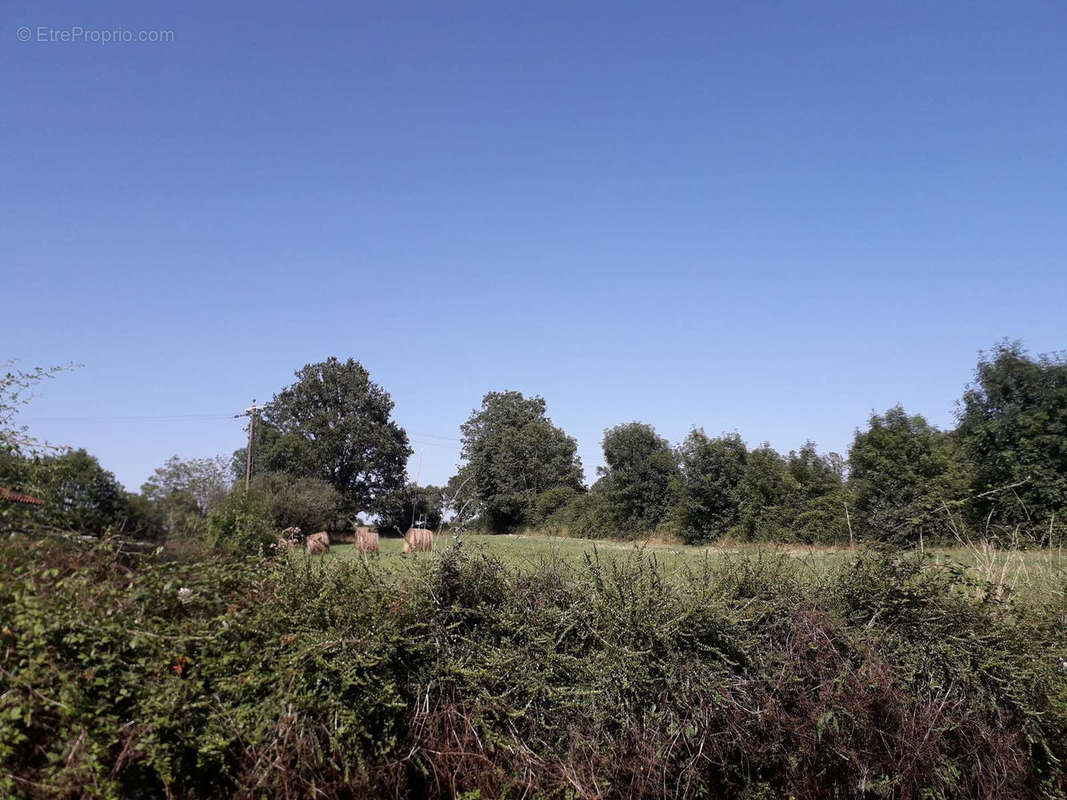 Terrain à VOUVANT