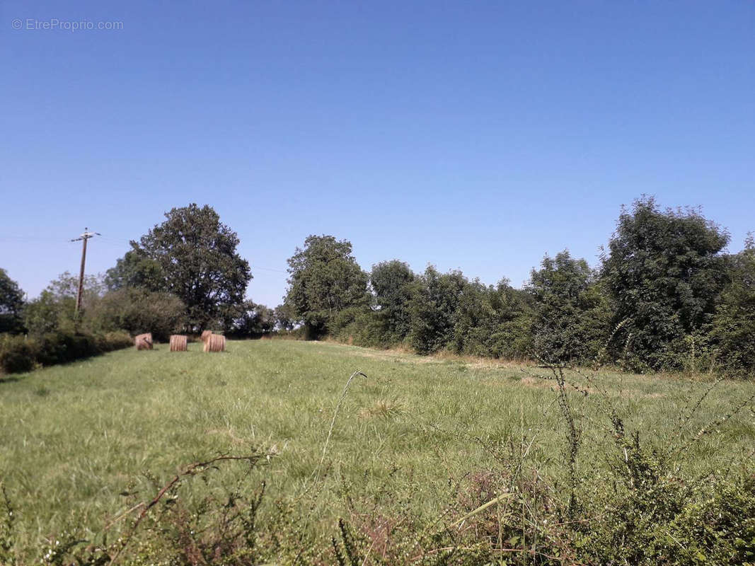 Terrain à VOUVANT