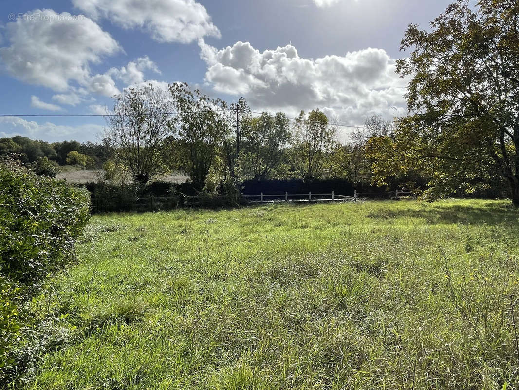 Terrain à FONTENAY-LE-COMTE