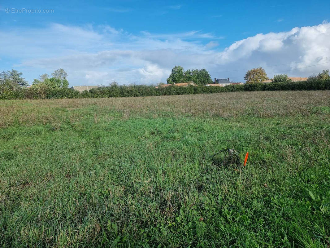 Terrain à PETOSSE