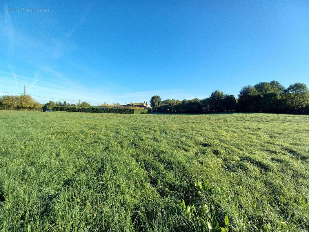 Terrain à SAINT-POMPAIN