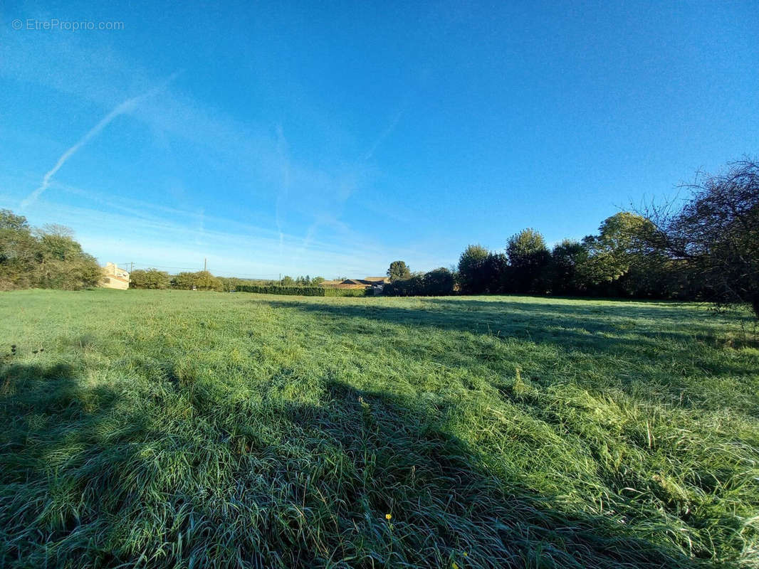 Terrain à SAINT-POMPAIN