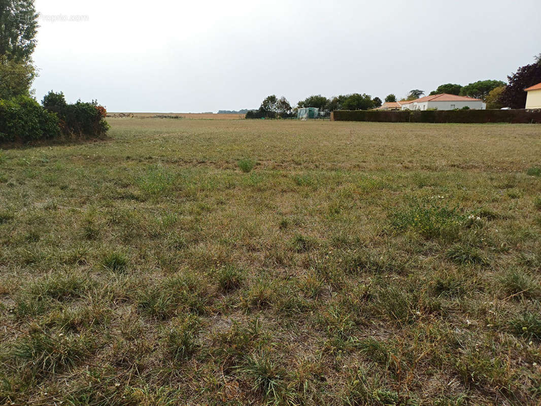 Terrain à FONTAINES