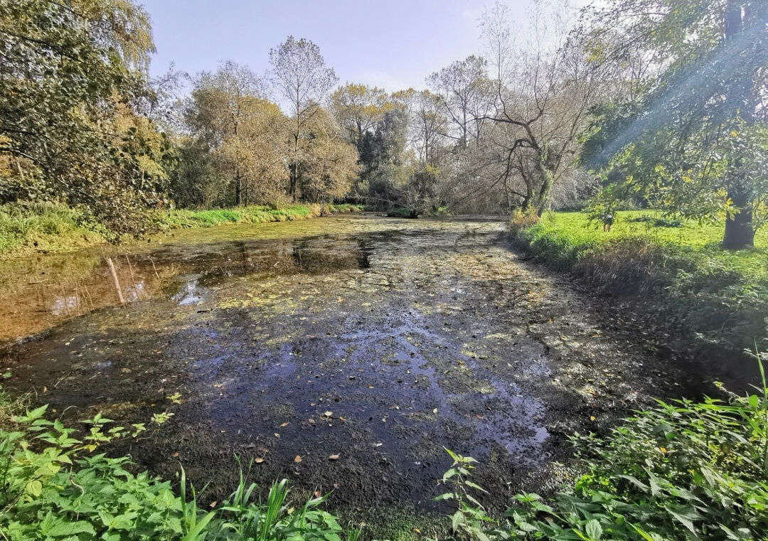 Terrain à MONTREUIL