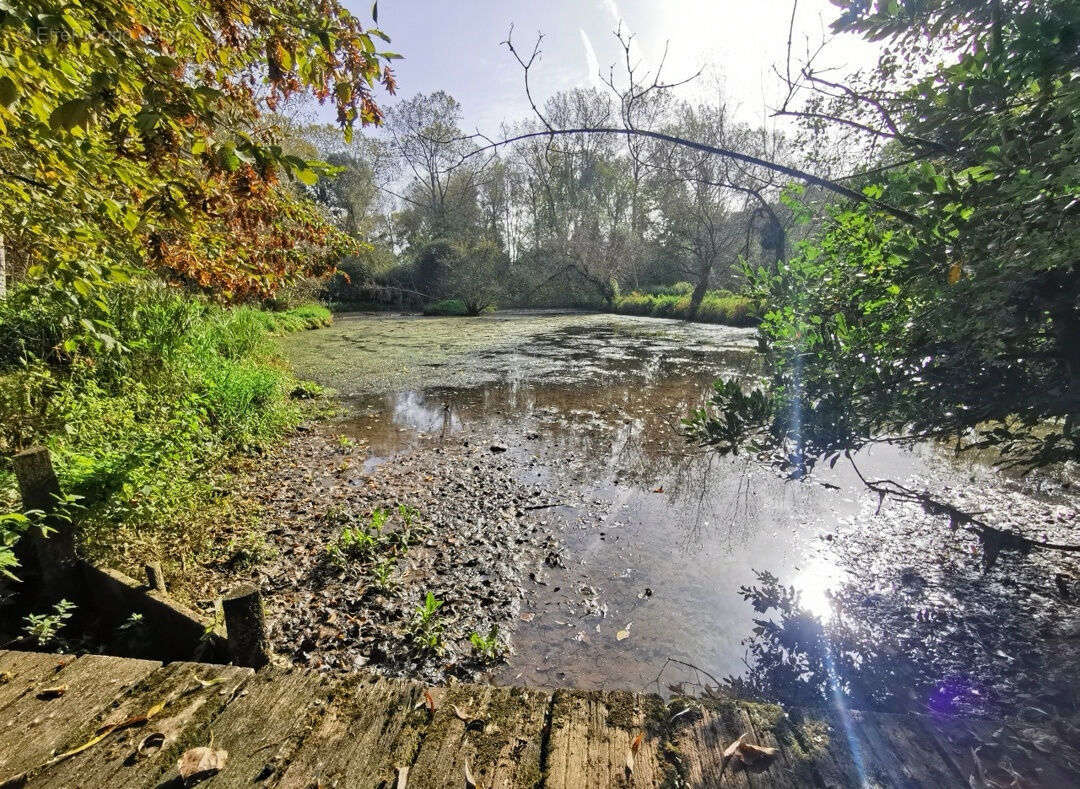 Terrain à MONTREUIL