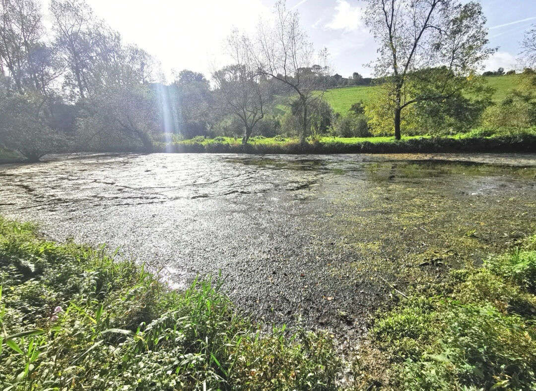 Terrain à MONTREUIL