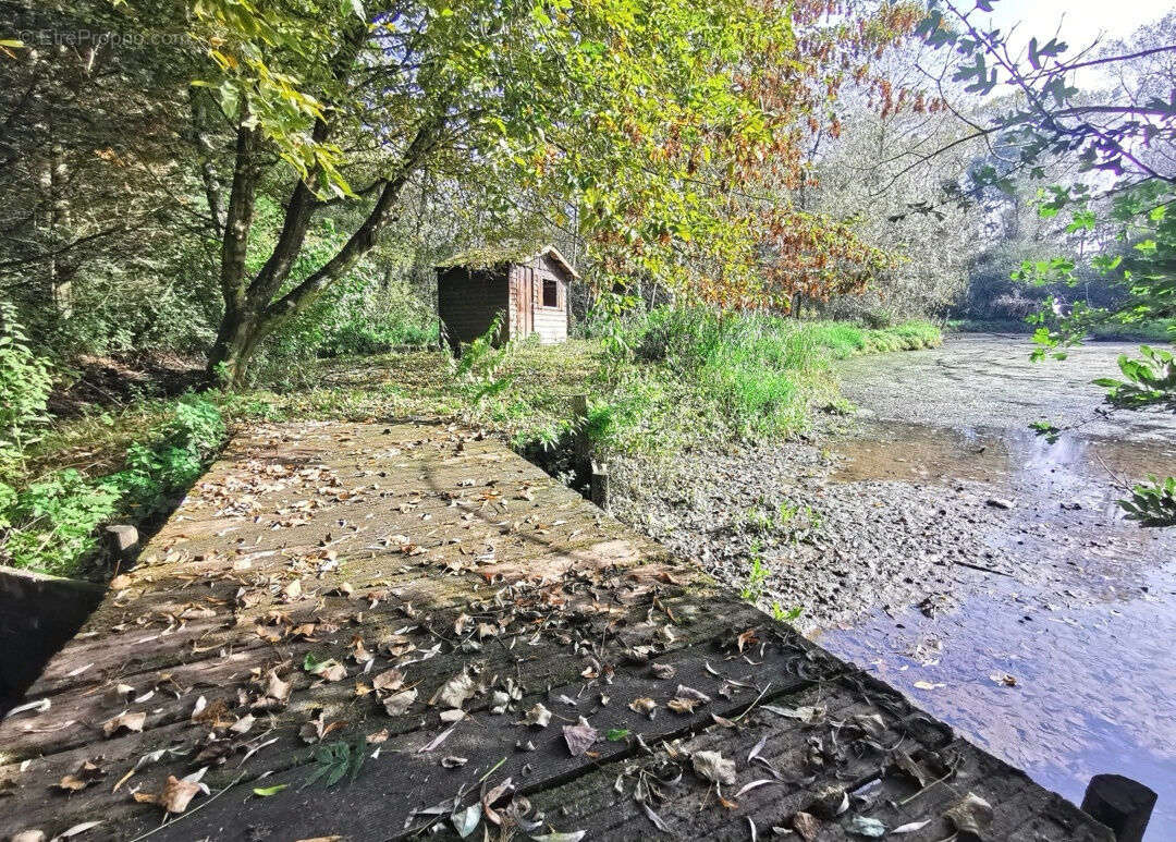 Terrain à MONTREUIL