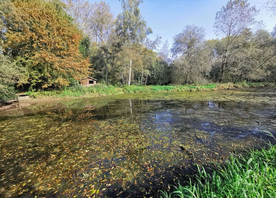 Terrain à MONTREUIL