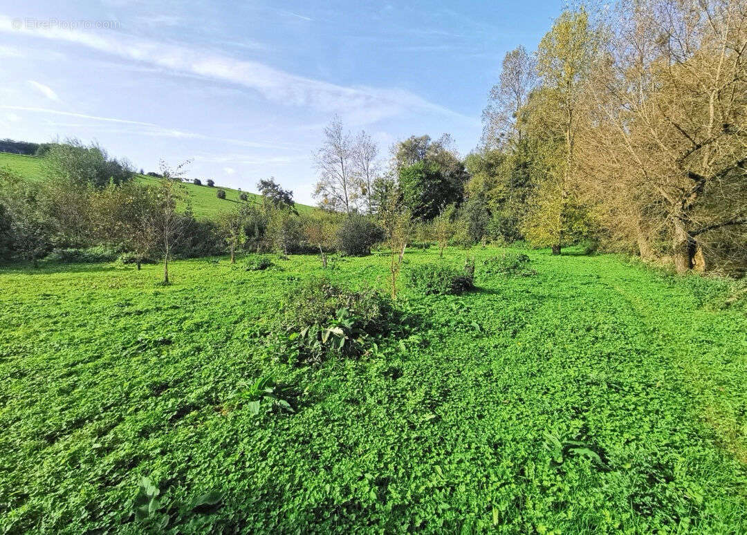 Terrain à MONTREUIL