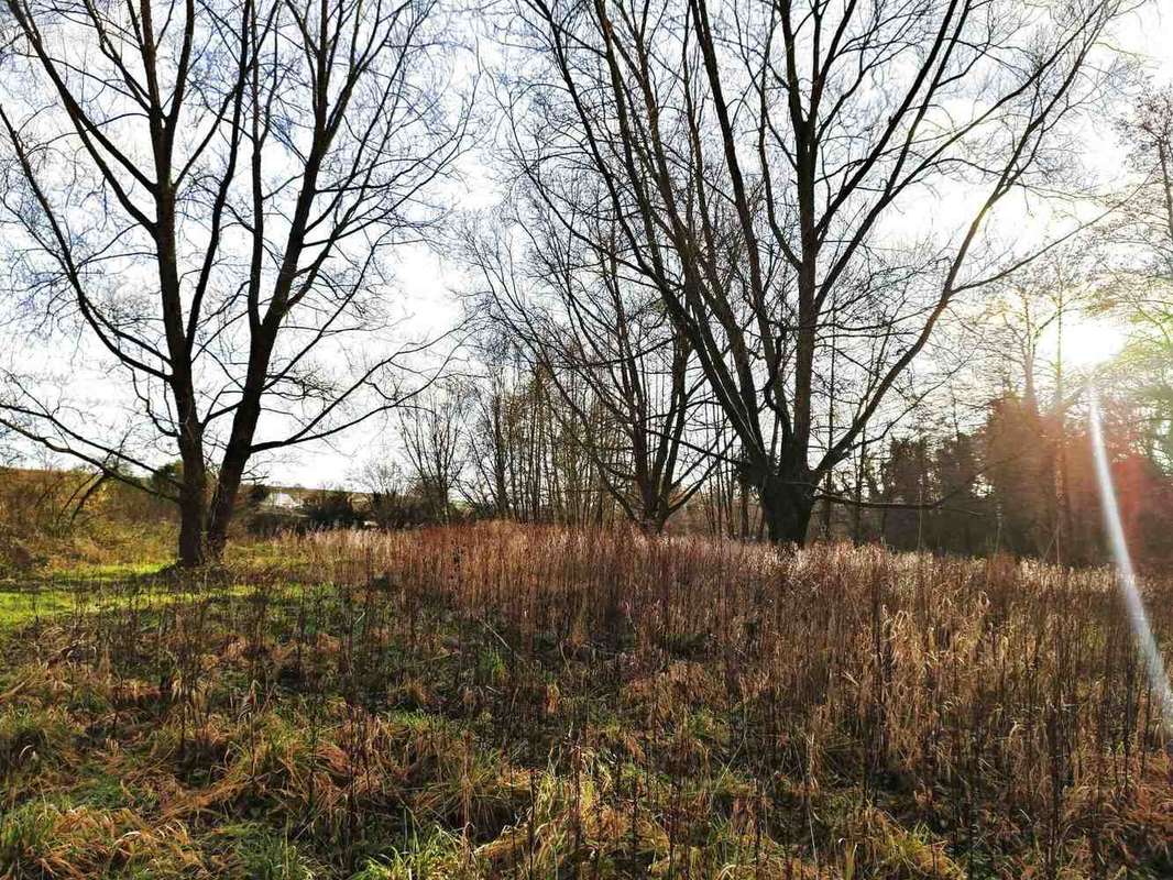 Terrain à NEUVILLE-SOUS-MONTREUIL