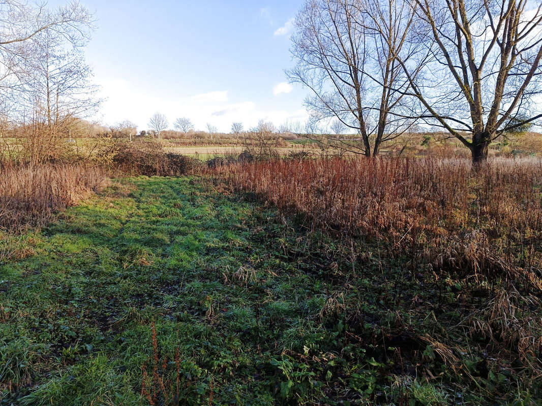 Terrain à NEUVILLE-SOUS-MONTREUIL