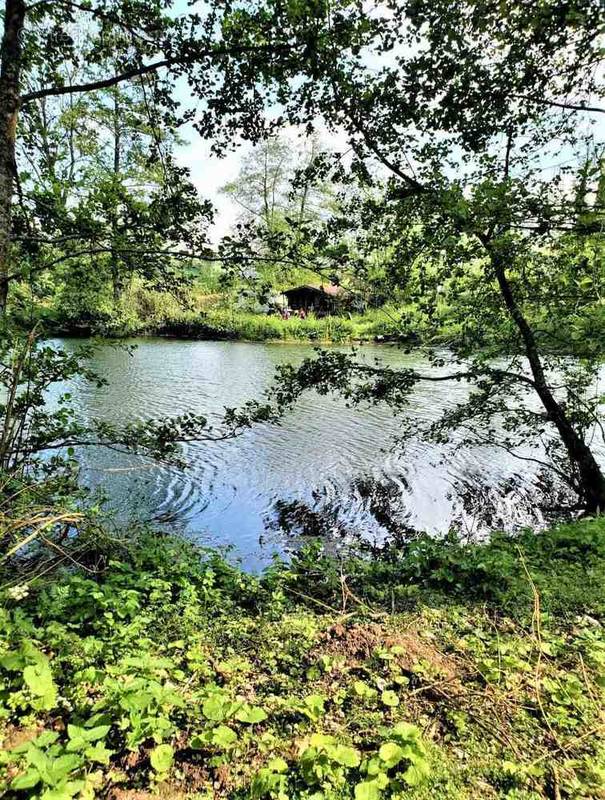 Terrain à NEUVILLE-SOUS-MONTREUIL