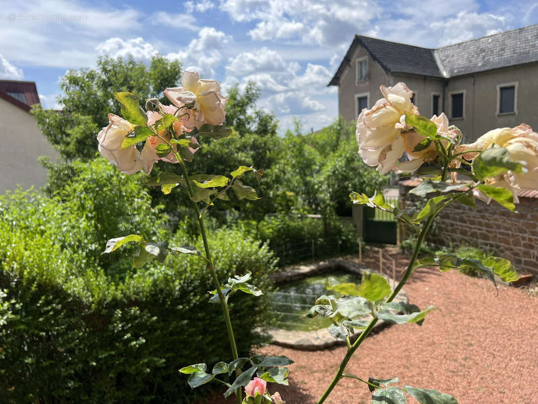 Maison à THIZY