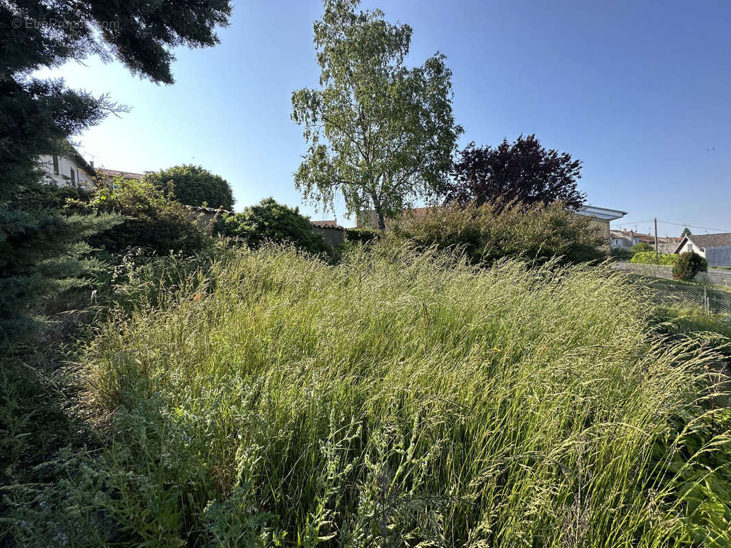 Terrain à BALBIGNY