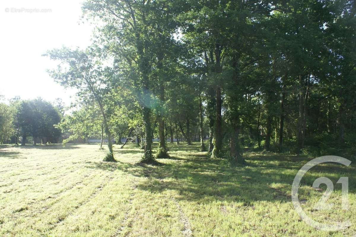 Terrain à SAINT-VIVIEN-DE-MEDOC