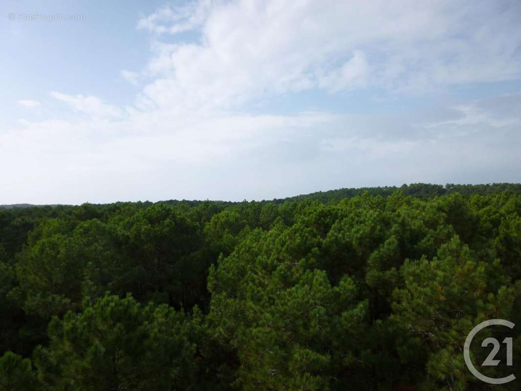 Appartement à LE VERDON-SUR-MER