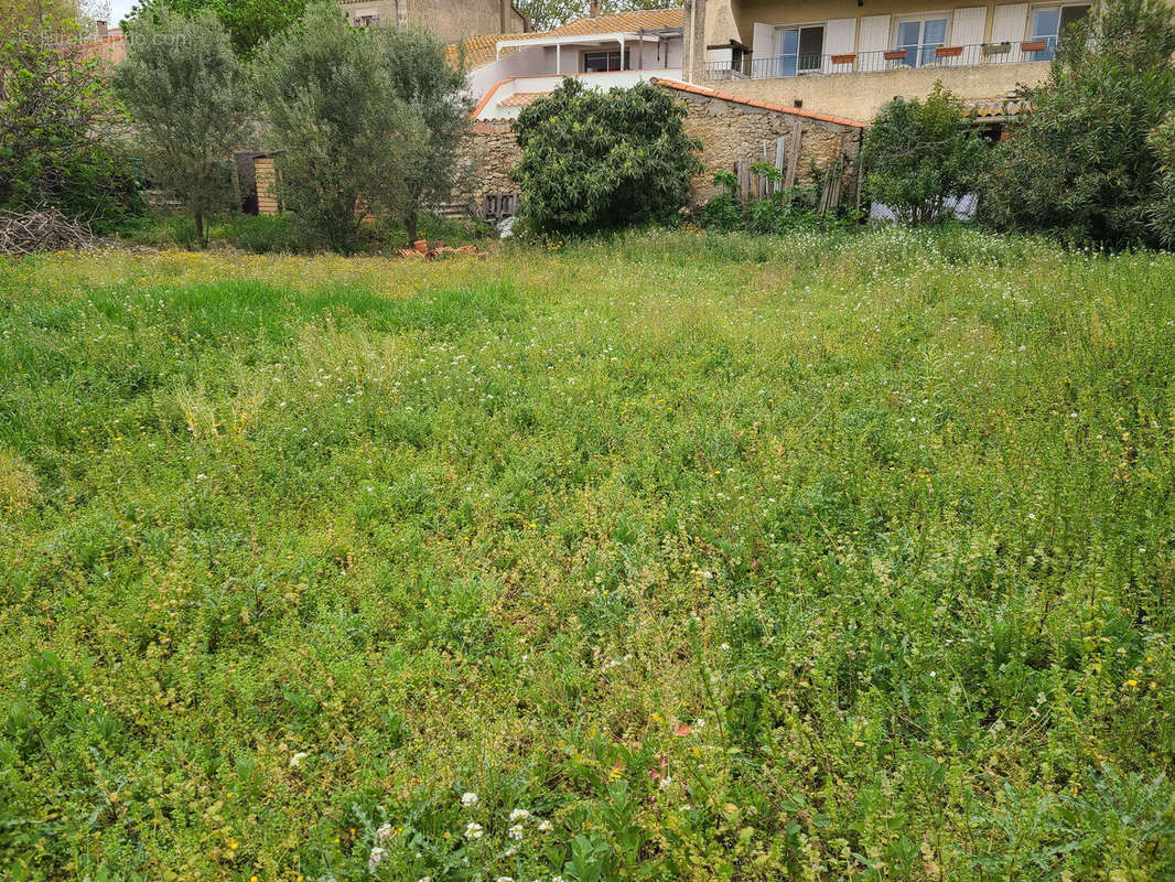 Terrain à CANET