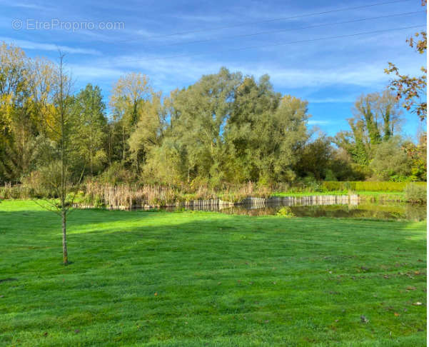 Terrain à RIBEMONT-SUR-ANCRE