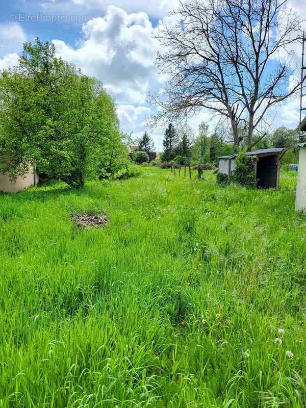 Terrain à BERTEAUCOURT-LES-DAMES