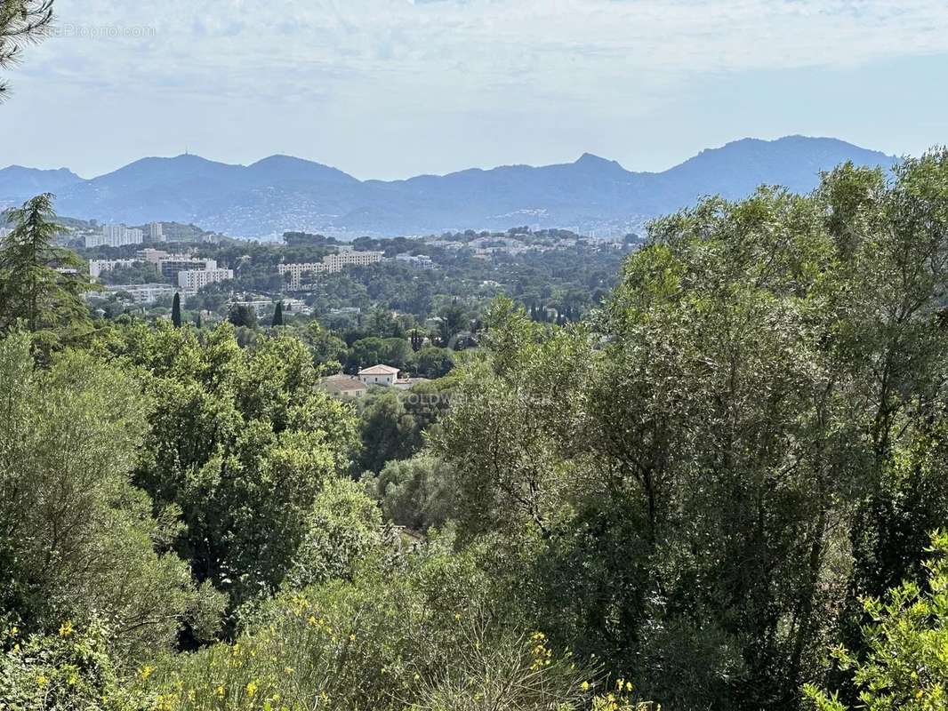 Maison à MOUGINS