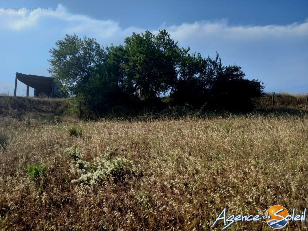 Terrain à PARAZA