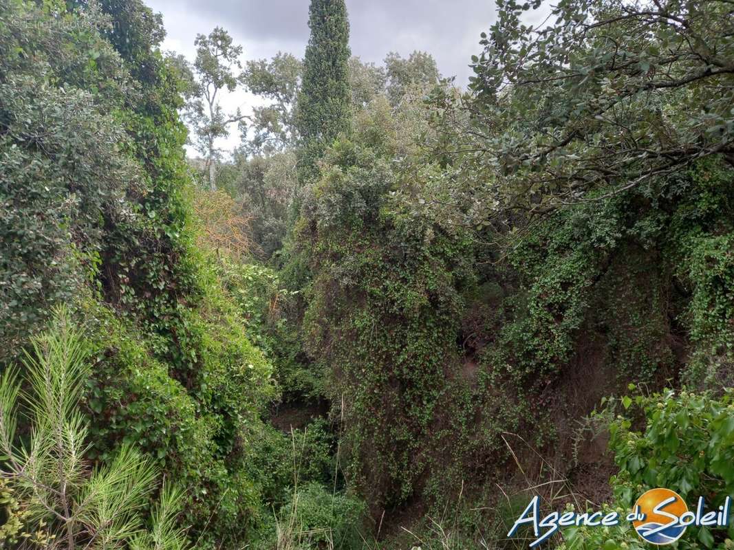 Terrain à PARAZA