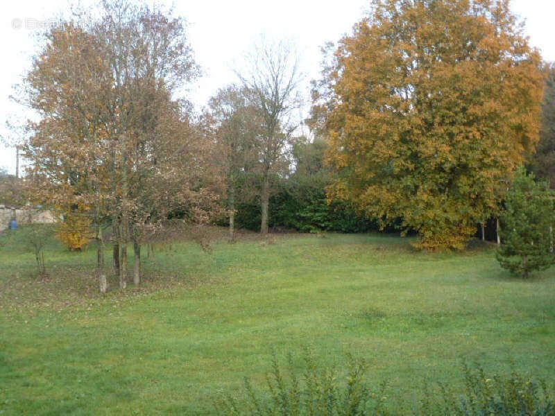 Terrain à VILLENEUVE-SUR-BELLOT