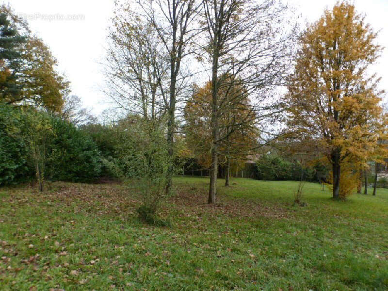 Terrain à VILLENEUVE-SUR-BELLOT