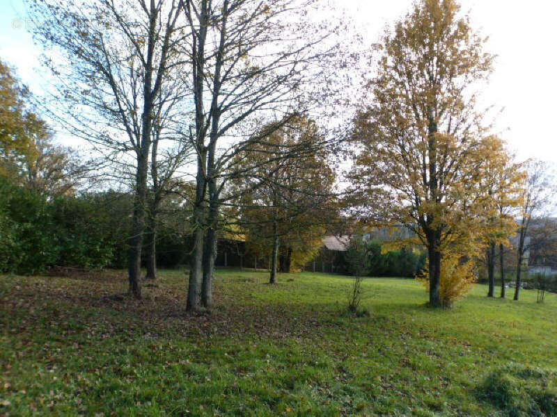 Terrain à VILLENEUVE-SUR-BELLOT