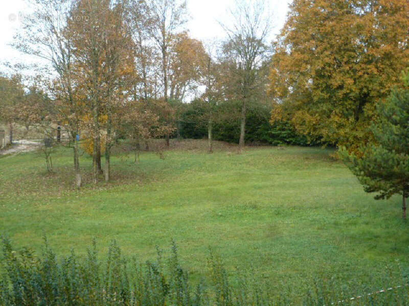 Terrain à VILLENEUVE-SUR-BELLOT