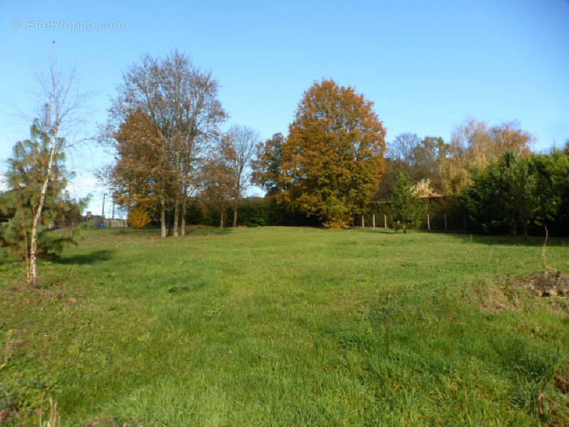 Terrain à VILLENEUVE-SUR-BELLOT