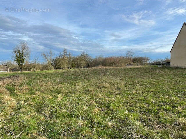 Terrain à SAINT-REMY-LA-VANNE