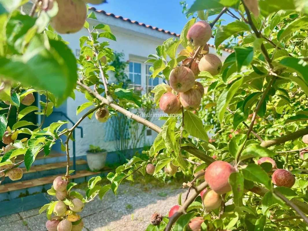 Maison à NOIRMOUTIER-EN-L&#039;ILE