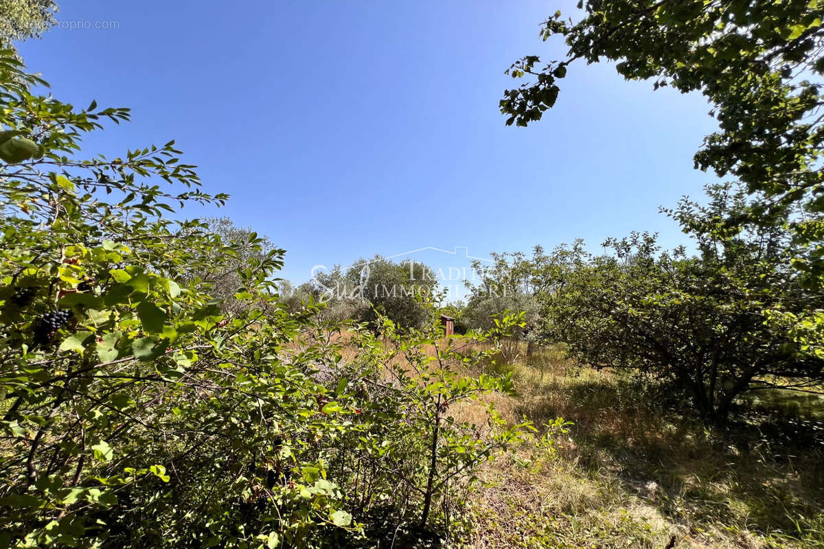 Terrain à PARADOU