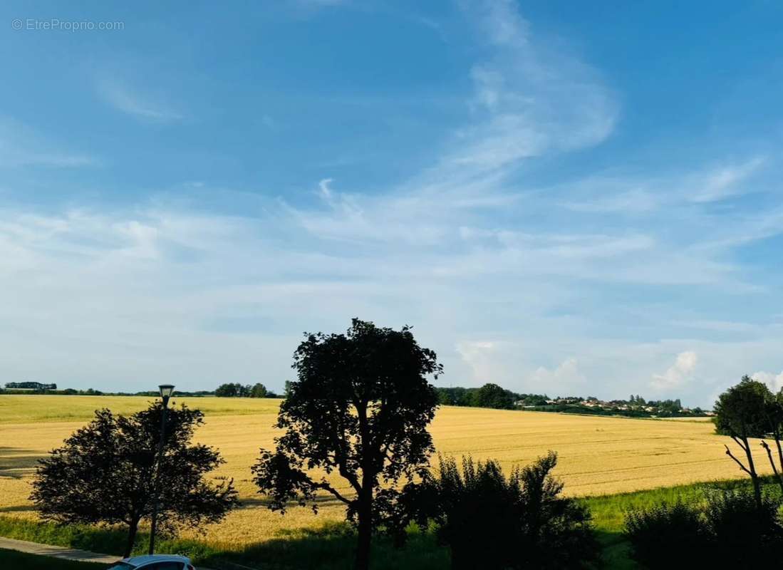 Appartement à RILLIEUX-LA-PAPE