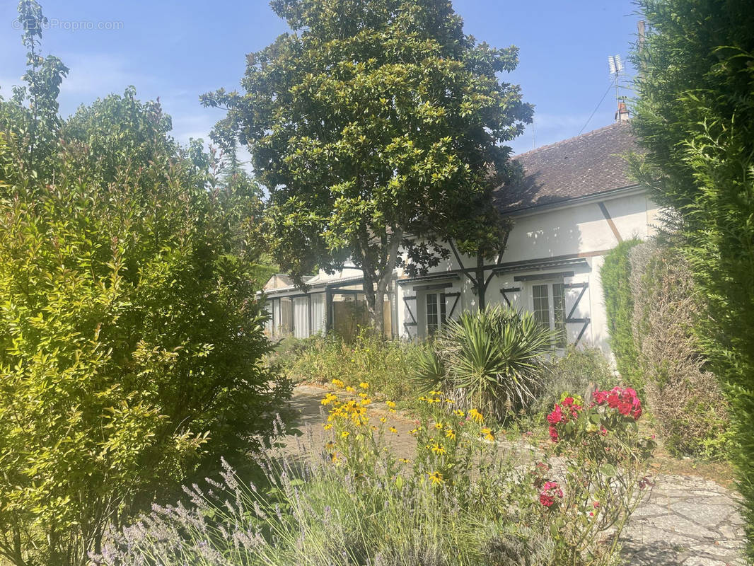 Maison à AMBOISE