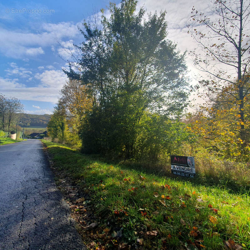 Terrain à VILLENEUVE-SUR-BELLOT