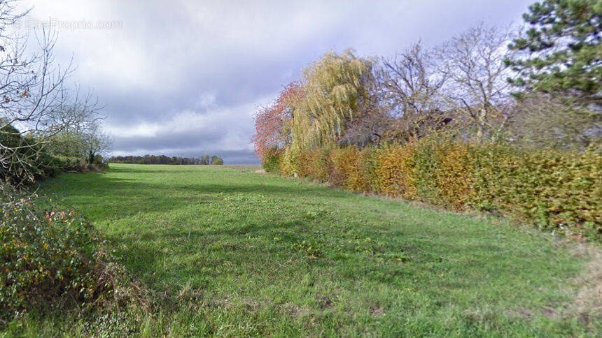 Terrain à CONDE-EN-BRIE