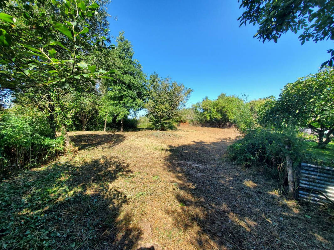 Terrain à CHATEAU-THIERRY