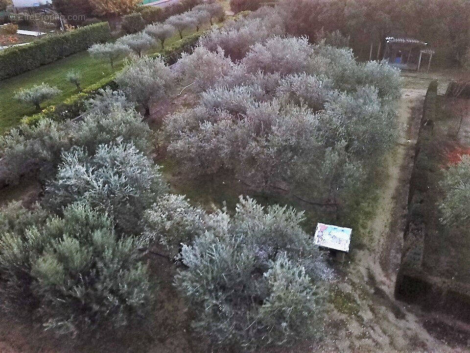 Terrain à SAINT-QUENTIN-LA-POTERIE