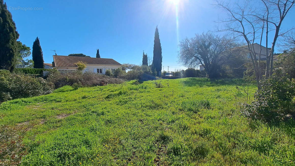 Terrain à SAINT-GEORGES-D&#039;ORQUES