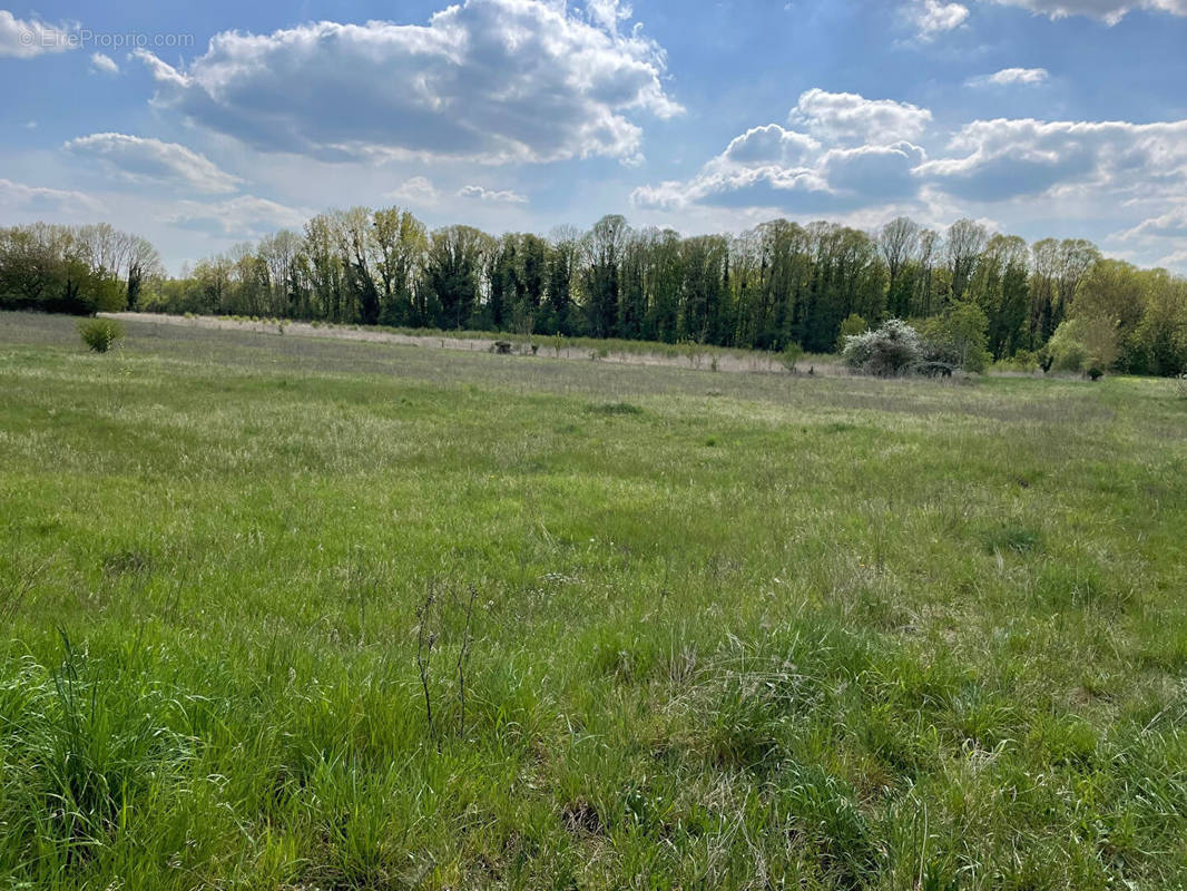 Terrain à NOGENT-LE-ROI