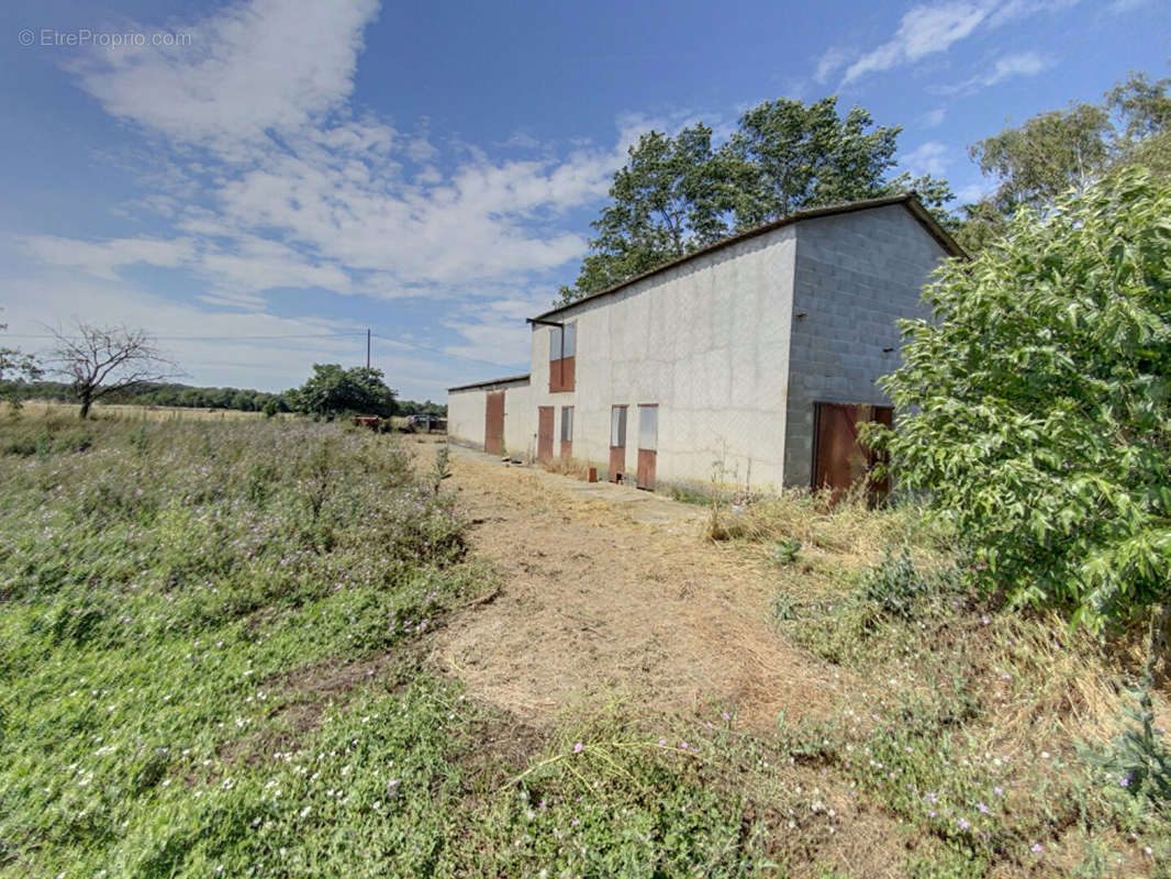 Maison à MURET