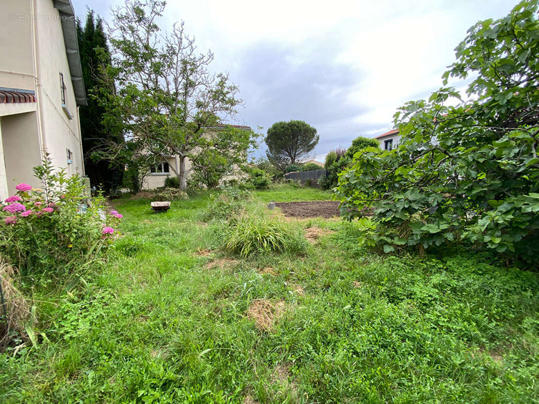 Maison à MURET