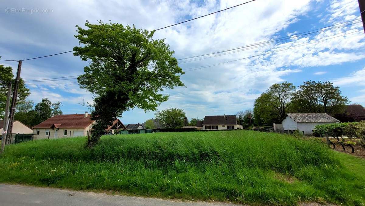 Terrain à MONTIGNY