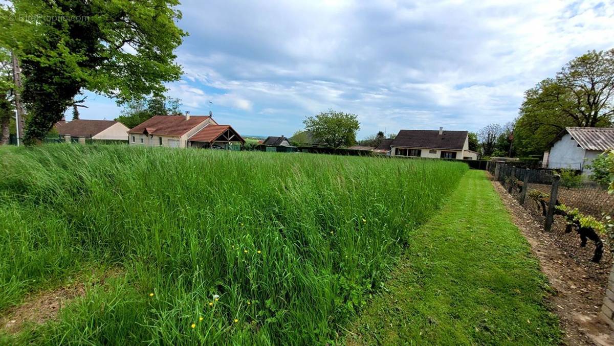 Terrain à MONTIGNY