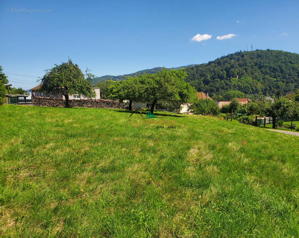 Terrain à LA BROQUE