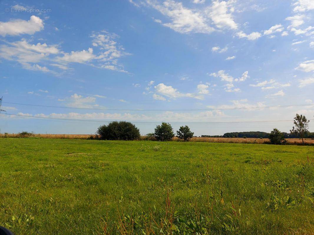 Terrain à BOURGTHEROULDE-INFREVILLE