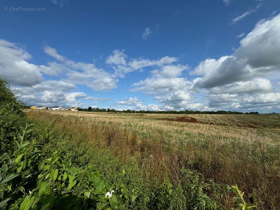 Terrain à RENWEZ